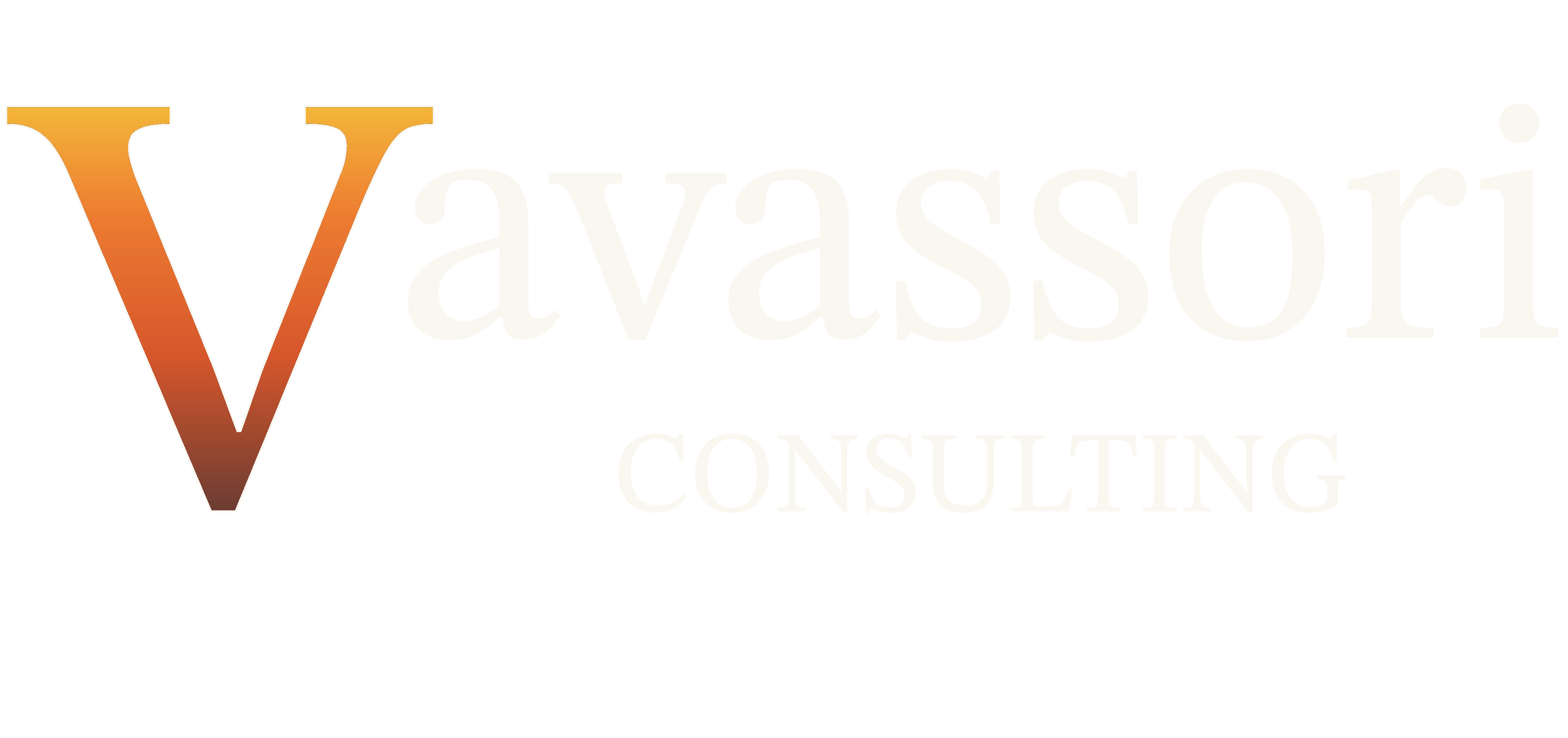 Vavassori Consulting
